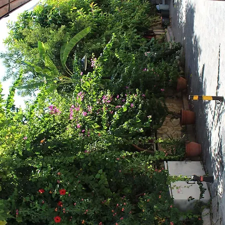 Lazer Hotel Antalya